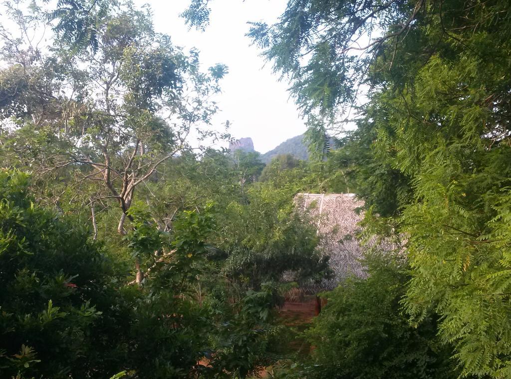 Kuwera Eco Lodge Sigiriya Exterior foto